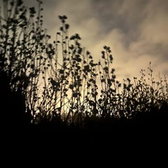 Outsiders: Teenage Menopause w/ WetFX @ Kiosk Radio 15.12.2025