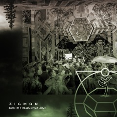 ZigMon @ Earth Frequency Festival 2021 • Stone Seed Showcase Warm Up