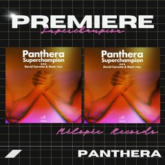 PREMIERE : Panthera - Superchampion (Original Mix) (Mélopée Records)