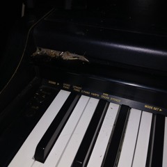 Rippet no headphones 🎧