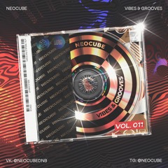 Neocube - Vibes & Grooves 011