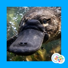 Question Your World - Did the platypus just get weirder?