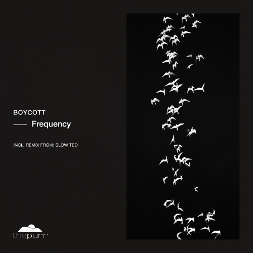 Premiere: Boycott - Frequency (Slow Ted Remix) [The Purr]
