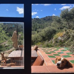 Messages from your angels