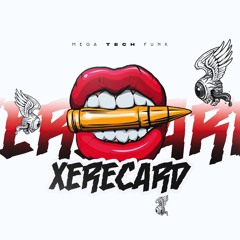 MEGA TECH FUNK XERECARD (TAIDigital)