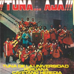 01 Las Cintas De Mi Capa.