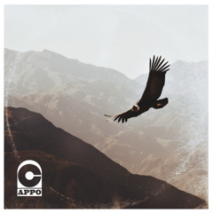 Leap Of Faith Instrumental