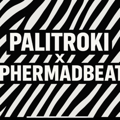 17 PALITROKI B2B PHERMADBEAT - TECHNOWOOD N1