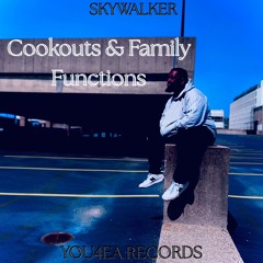 Cookouts and Family Functions