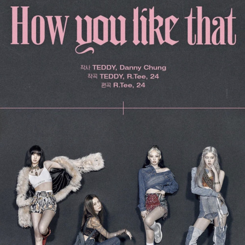 How You Like That BLACKPINK instrumental
