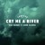 Artwork for Raz Danon x Lidor Saadia - Cry Me a River