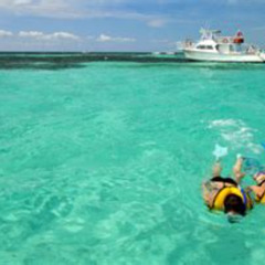 Best John Pennekamp Snorkeling Tour Review Prices Reviews
