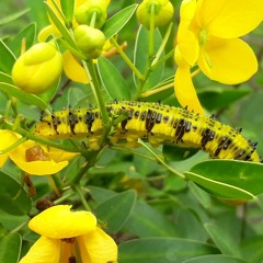 21.02.2022 - Cap. X - Bem Aventurados os Misericordiosos - Perdoai Para que Deus vos Perdoe (5)