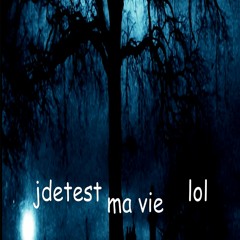 jdetest ma vie lol