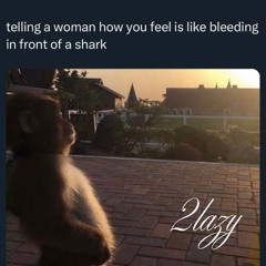 selber schuld - 2lazy (ROH-VERSION)