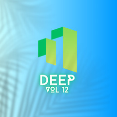 Deep 12 (Misplaced Records Tribute)