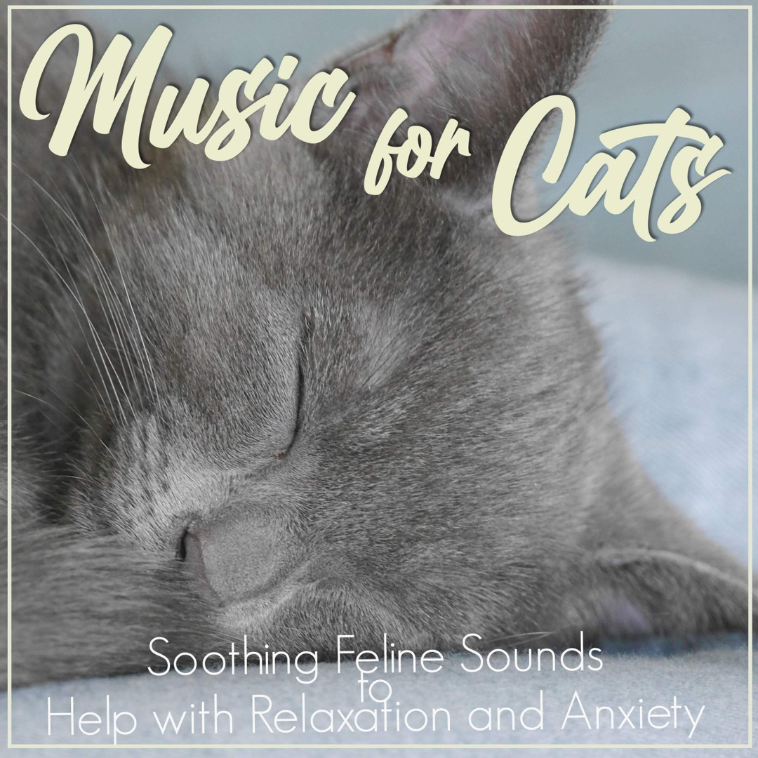 Image showcasing Stream RelaxMyCat | Listen to Music For Cats: Soothing Feline Sounds to ...