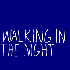 Walking In The Night