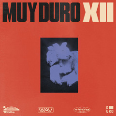 PREMIERE: Rina Feat. JulyJuli - Enigmatic Across America (Original Mix) [Duro Label]