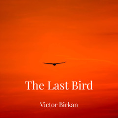 The Last Bird - Improvised Piano Piece