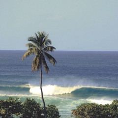Summer breeze