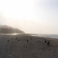 Mi Segunda Guaracha - El Hechizo