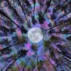 Electric Woodstock Effect