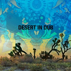 Pete Shifter Laila Gobi Remix