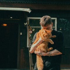 katanacss - котик
