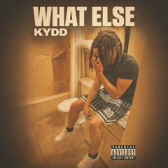 What Else Kydd(Switch It Up).m4a