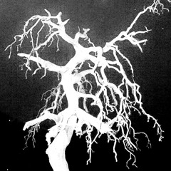 HUH? (PROD. TREETIME)