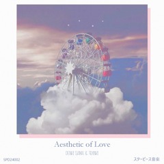 Aesthetic of Love ft. TRXNKI