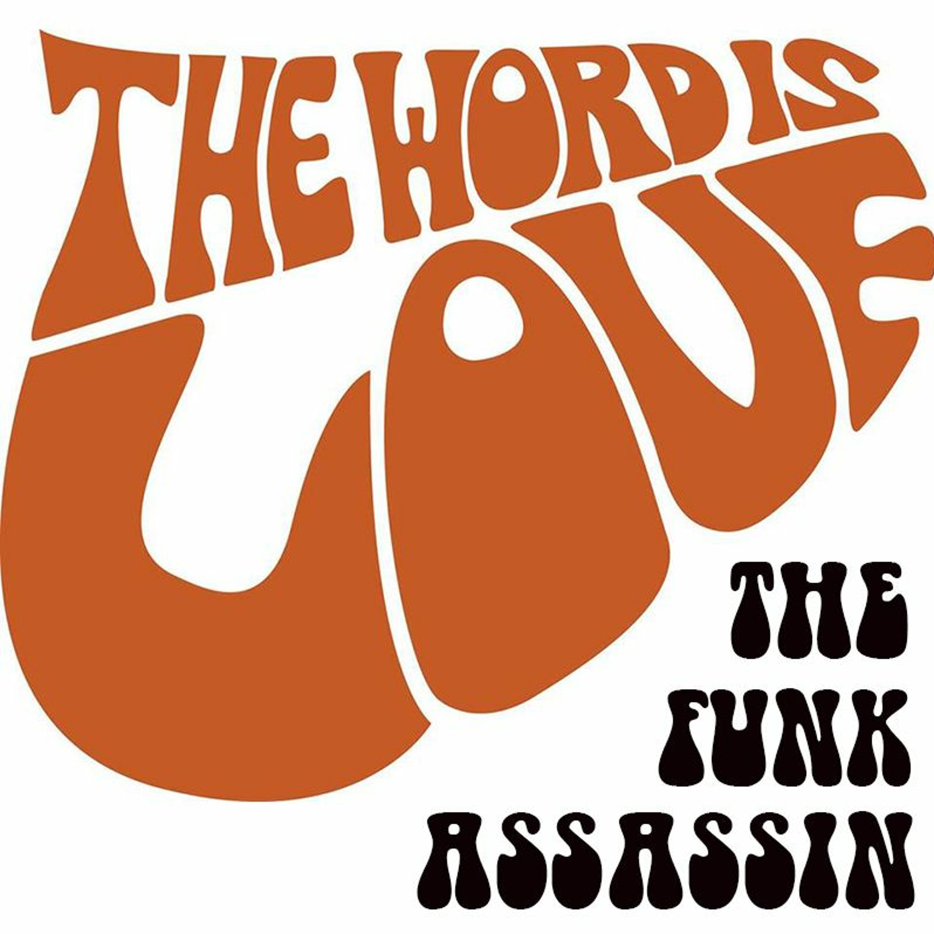 The Funk Assassin