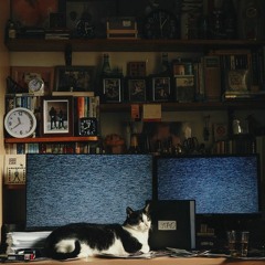 vitic polupuna cover