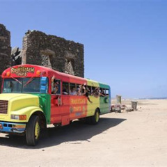 Review Special Price Colorful Beach Bus Sightseeing Tour Of Aruba