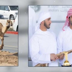 مسفر السندوانه - هجن زعبيل (حصريا)  2023