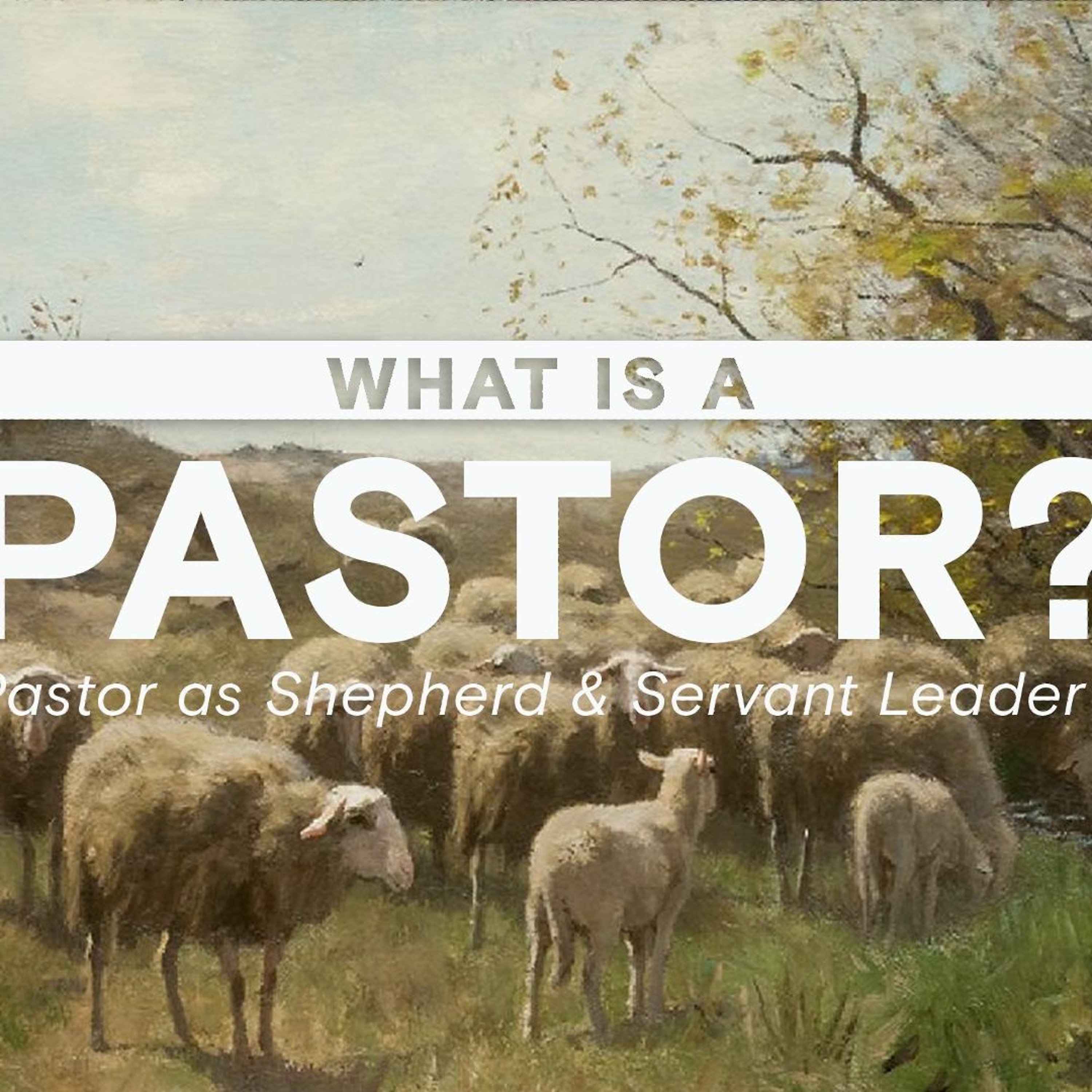 What is a Pastor?: Pastor as Shepherd & Servant Leader (7-9-23) Randy Bare episode artwork