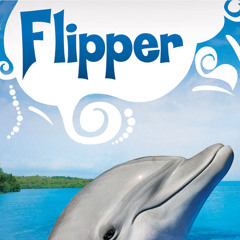 gas ( young flipper )