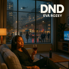 DND (Do Not Disturb)