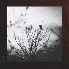 Plauged Ft. Hearse LD50