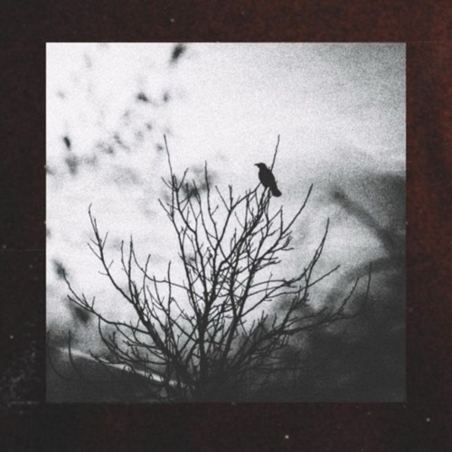 Plauged Ft. Hearse LD50