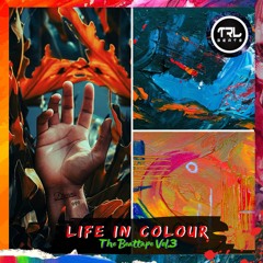 Life In Colour: The Beattape Vol. 3