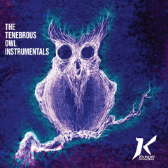 16 - Jazzy Like - Katalist Productions - The Tenebrous Owl Instrumentals