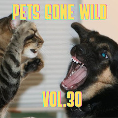 Pets Gone Wild Vol.30