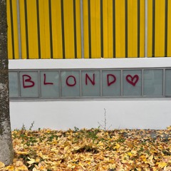 lines, circles and other shapes [wild card 07-11-2025]