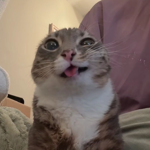 passion for the kick