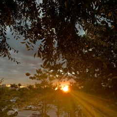 Nobody Knows (piano ver.)