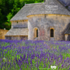 Paganini: Grand Sonata In A Major Op.39 MS.3 - I. Allegro Risoluto