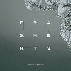 La Plage / New album "Fragments" Out Now