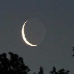 a veces yo quiero el mundo